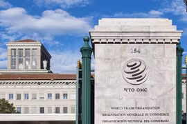 WTO bất lực trước làn sóng bảo hộ