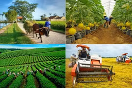Giảm nghèo hướng tới bền vững hơn, bao trùm hơn và thích ứng tốt hơn trước các biến động