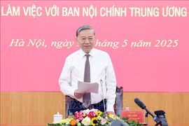 Tổng Bí thư Tô Lâm: Công tác nội chính phải hướng tới giữ vững ổn định để phát triển đất nước