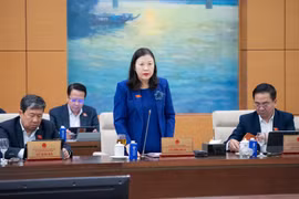 Cử tri lo lắng, bức xúc về tình trạng lừa đảo trực tuyến