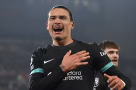 Đánh bại Brentford, Liverpool xây chắc ngôi đầu Ngoại hạng Anh 2024/25