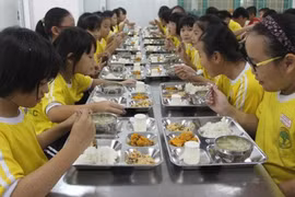 Phó Thủ tướng chỉ đạo nghiên cứu cơ chế, giải pháp bền vững bảo đảm an toàn thực phẩm học đường