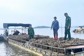 Quảng Ninh: Quyết liệt phòng chống buôn lậu và gian lận thương mại