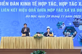 Kinh tế tập thể là 'bệ đỡ nơi làng quê', kinh tế tư nhân là 'động lực nơi thị trường'
