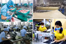 Góp ý cho Văn kiện Đại hội XIV: Đặt con người và pháp quyền làm trung tâm phát triển