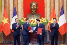 Chủ tịch nước Lương Cường và Tổng thống Pháp chứng kiến lễ trao văn kiện hợp tác