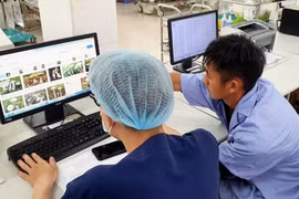 Cặp vợ chồng trẻ hôn mê sâu có nguy cơ tử vong cao do ăn nấm rừng