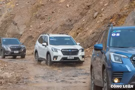 Subaru Forester giảm giá sâu tại đại lý xuống dưới 800 triệu đồng