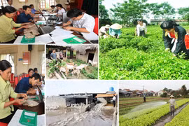 Đến 2030: Tỷ lệ nghèo đa chiều duy trì mức giảm từ 1 đến 1,5%/năm