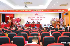 Hội Nhà báo Việt Nam yêu cầu các cấp Hội địa phương rà soát, đánh giá hoạt động sau sắp xếp, sáp nhập
