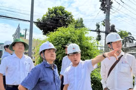 Đảm bảo điện miền Nam: EVNSPC quyết liệt trong công tác đầu tư xây dựng