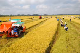 Các đối tượng được miễn thuế sử dụng đất nông nghiệp đến hết ngày 31/12/2030