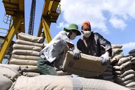 Giảm thuế xuất khẩu clanhke xuống 5% để hỗ trợ ngành xi măng