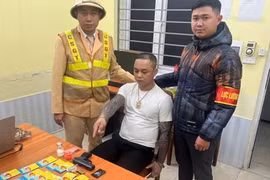 Cảnh sát 141 bắt đối tượng tàng trữ súng ngắn và số lượng lớn ma tuý tổng hợp