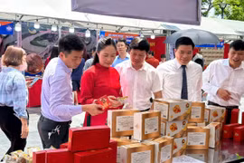 40 gian hàng tham gia Hội chợ Hải Phòng