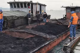 Xử lý nghiêm các tổ chức, cá nhân tiếp tay, bao che cho hoạt động sản xuất, kinh doanh than trái phép