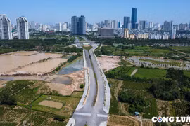 TP HCM đẩy nhanh tiến độ giải ngân đầu tư công năm 2025