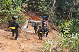 Công an Gia Lai đột kích bãi vàng nằm sâu trong rừng phòng hộ