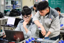 Đào tạo cao đẳng phải đúng bản chất, không biến thành ‘đại học thu nhỏ’ hay ‘đại học em’ trong trường đại học