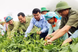 Hơn 10.500 mô hình sinh kế đã được triển khai góp phần giảm nghèo bền vững