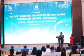 Hội chợ Mùa Thu 2025: Cầu nối thương mại Việt Nam – New Zealand