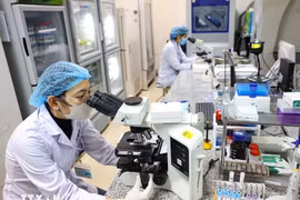 Cơ sở công lập được góp vốn bằng tài sản trí tuệ: Bước đột phá từ Nghị định mới