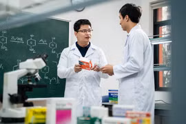 Bộ Y tế đề xuất sắp xếp lại hệ thống bệnh viện, trường đại học, giữ nguyên 25 đơn vị đầu ngành