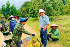 Bầu Đức tuyển gấp 100 kỹ thuật viên sầu riêng, thưởng không giới hạn cho người giới thiệu