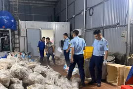 Hà Nội: Phát hiện 11 tấn thịt và nội tạng bò bốc mùi chuẩn bị ‘tuồn’ ra thị trường