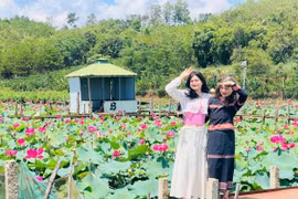 Mê mẩn với thung lũng sen hồng tuyệt đẹp bên hồ núi lửa Ia Băng