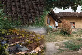 Tìm về vẻ đẹp cổ tích tại ngôi làng cổ xứ Kinh Bắc