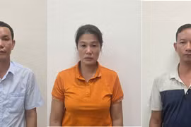 Bắt tạm giam Giám đốc Công ty Lâm nghiệp Hoành Bồ Quảng Ninh cùng đồng phạm tổ chức phá rừng tự nhiên