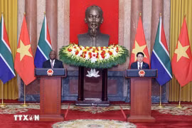 Việt Nam – Nam Phi thống nhất nâng cấp quan hệ lên Đối tác chiến lược trong năm 2025
