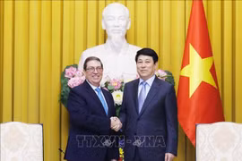 Chủ tịch nước Lương Cường tiếp Bộ trưởng Ngoại giao Cuba