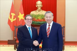 Tổng Bí thư Tô Lâm tiếp Ủy viên Bộ Chính trị, Bộ trưởng Ngoại giao Cuba