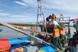 Thủ tướng lập Ban Chỉ đạo tiền phương tại Nghệ An, trực tiếp chủ trì họp ứng phó bão số 5