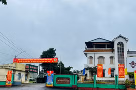 Vụ nguyên giám đốc công ty cà phê ở Gia Lai bị bắt: Khó thu hồi diện tích đất đã cho thuê?