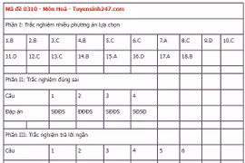 Đề thi tốt nghiệp THPT 2025 môn Tiếng Anh, mã đề 1139