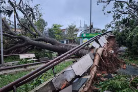 Khu vực Bắc Bộ và từ Thanh Hóa đến Đà Nẵng chủ động ứng phó lũ, ngập lụt và sạt lở đất