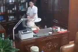 Buộc thôi việc Chủ tịch HĐQT Trường THPT Tô Hiến Thành do liên quan loạt clip 'thân mật' trong phòng làm việc