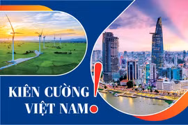 Kiên cường Việt Nam!
