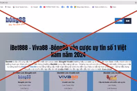 Hơn 900 website có dấu hiệu vi phạm pháp luật, đề nghị không quảng cáo tại Việt Nam