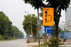 Hà Nội: Chặt hạ, di chuyển hơn 2.600 cây xanh để phục vụ dự án giao thông trọng điểm