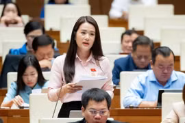 Đề xuất viên chức có quyền báo cáo, tạm hoãn nhiệm vụ nếu phát hiện 'dấu hiệu trái pháp luật'