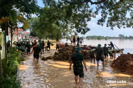 Quân dân đồng lòng đắp đê ngăn nước sông Cầu