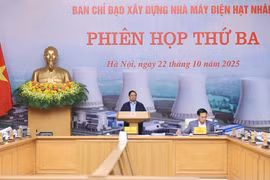 Thủ tướng chủ trì phiên họp về xây dựng nhà máy điện hạt nhân