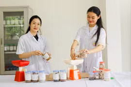 Thí sinh lao đao vì Đại học Kinh Bắc mất quyền tuyển sinh sát giờ chốt nguyện vọng