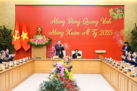 Lãnh đạo Đảng, Nhà nước dự chương trình gặp mặt 'Mừng Đảng quang vinh, mừng Xuân Ất Tỵ 2025'