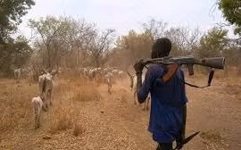Nam Sudan: Tấn công trại gia súc khiến ít nhất 35 người thiệt mạng