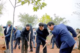 Tết trồng cây Xuân Ất Tỵ năm 2025 ở Phú Thọ: Phát huy truyền thống tốt đẹp của dân tộc